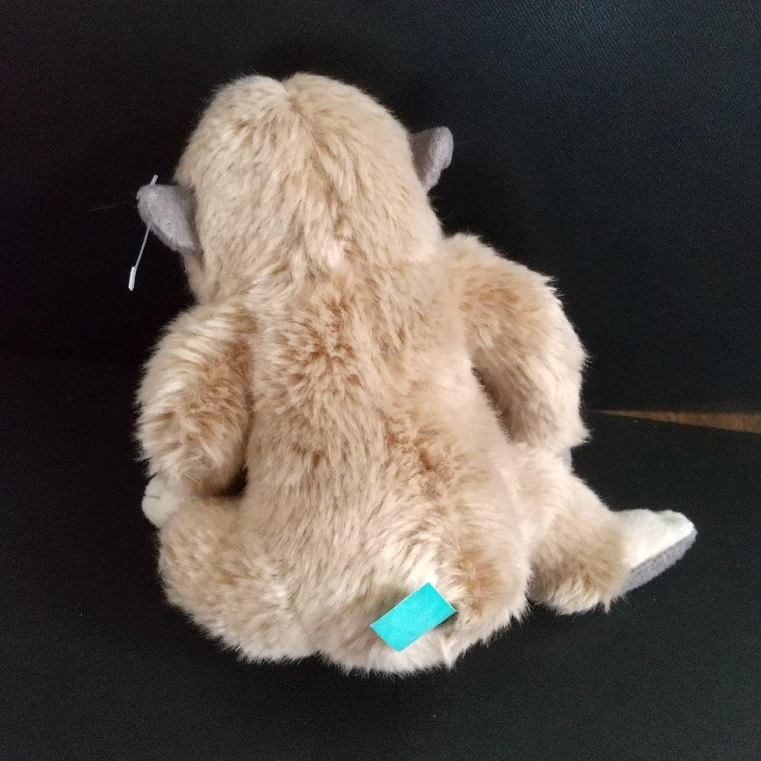 Amazon.co.jp: サル 猿 猿ぬいぐるみ 伊豆シャボテン動物園 : Toys & Games